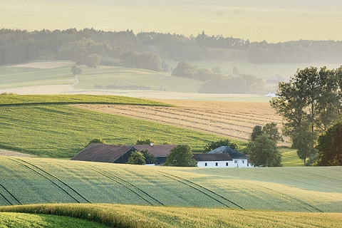 VOLKSBANK OBERÖSTERREICH AG Stufenzinsanleihe 2025-2028/Serie 1