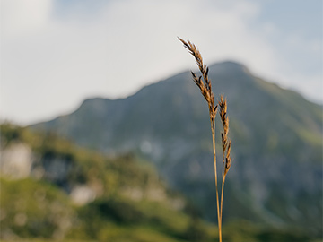Ein blauer Farbverlauf mit dem Volksbank-Logo